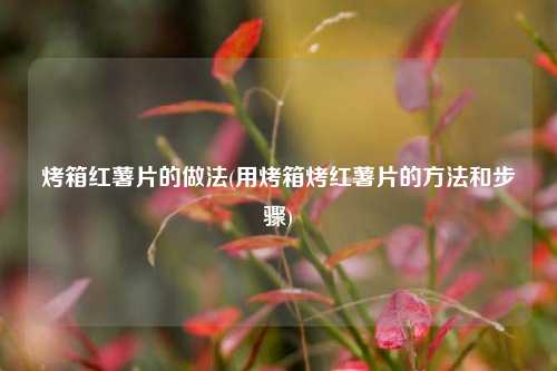 烤箱红薯片的做法(用烤箱烤红薯片的方法和步骤)