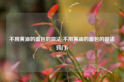 不用黄油的面包的做法(不用黄油的面包的做法窍门)