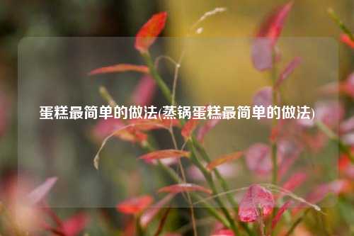 蛋糕最简单的做法(蒸锅蛋糕最简单的做法)