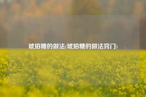琥珀糖的做法(琥珀糖的做法窍门)