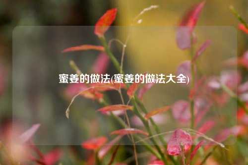蜜姜的做法(蜜姜的做法大全)