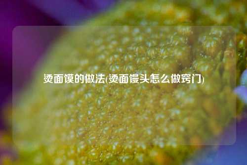 烫面馍的做法(烫面馒头怎么做窍门)