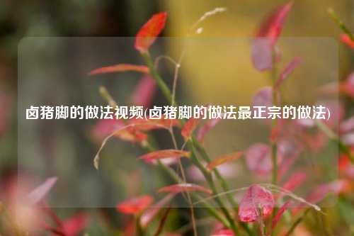 卤猪脚的做法视频(卤猪脚的做法最正宗的做法)