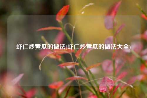 虾仁炒黄瓜的做法(虾仁炒黄瓜的做法大全)