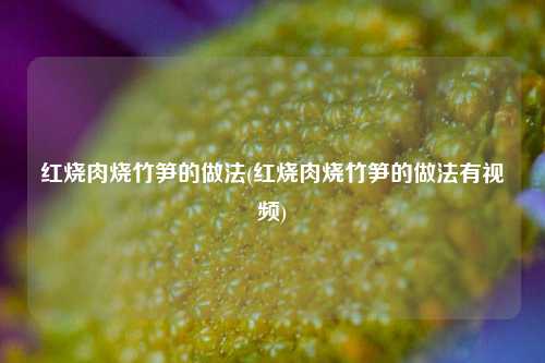 红烧肉烧竹笋的做法(红烧肉烧竹笋的做法有视频)