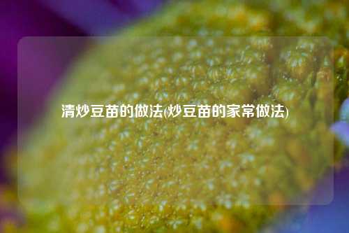 清炒豆苗的做法(炒豆苗的家常做法)