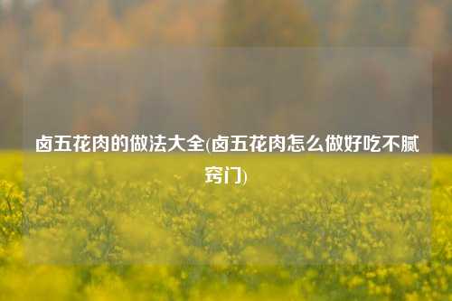 卤五花肉的做法大全(卤五花肉怎么做好吃不腻窍门)