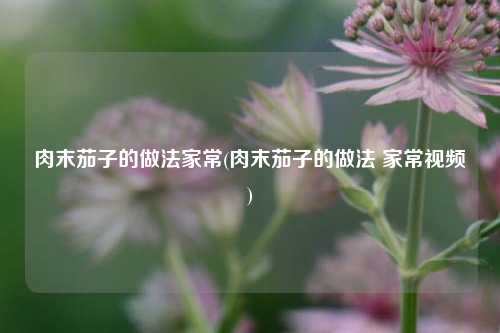 肉末茄子的做法家常(肉末茄子的做法 家常视频)