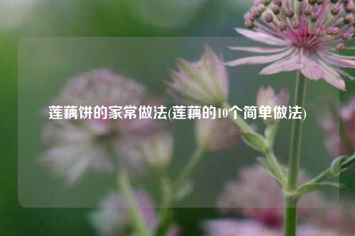 莲藕饼的家常做法(莲藕的10个简单做法)
