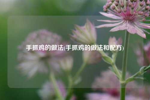 手抓鸡的做法(手抓鸡的做法和配方)