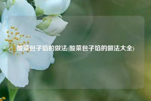 酸菜包子馅的做法(酸菜包子馅的做法大全)