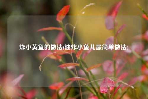 炸小黄鱼的做法(油炸小鱼儿最简单做法)
